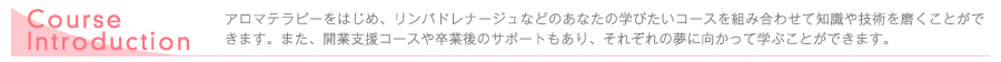 アロマテラピーをはじめ、リンパドレナージュなどのあなたの学びたいコースを組み合わせて知識や技術を磨くことができます。また、開業支援コースや卒業後のサポートもあり、それぞれの夢に向かって学ぶことができます。